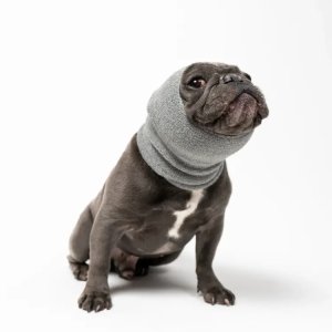 Calming Dog Ear Cover and Anxiety Relief Hoodie for Grooming and Noise Sensitivity