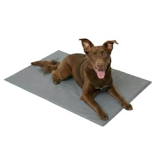 Pressure Activated Pet Cooling Mat for Dogs and Cats – Self-Cooling Gel Pad