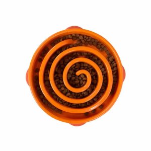 Interactive Slow Feeder Dog Bowl with Maze Pattern for Healthy Digestion