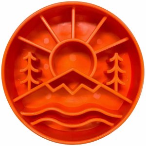 Advanced Segmented Enrichment Slow Feeder Bowl for Healthy Digestion