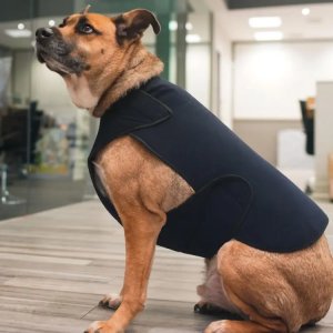 Therapeutic Anxiety Compression and Post-Surgery Front Body Wrap for Dogs