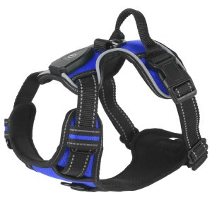 Rechargeable Light Up Dog Harness with High Visibility LED Glow for Night Safety