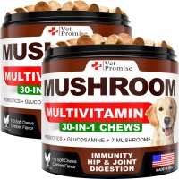 Premium Turkey Tail Mushroom Immune Support Chews for Dogs - 2 Pack Holistic Vitality Supplement (340 Soft Chews)