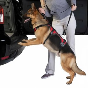 Supportive Dog Mobility Lift Harness and Lead – Ergonomic Rehabilitative Support Slings for Senior Dogs and Post-Surgery Recovery