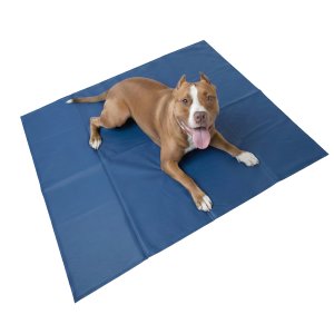 Portable Weight Activated Cooling Gel Pad for Pet Heat Relief
